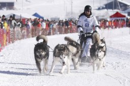 Lenk 2013